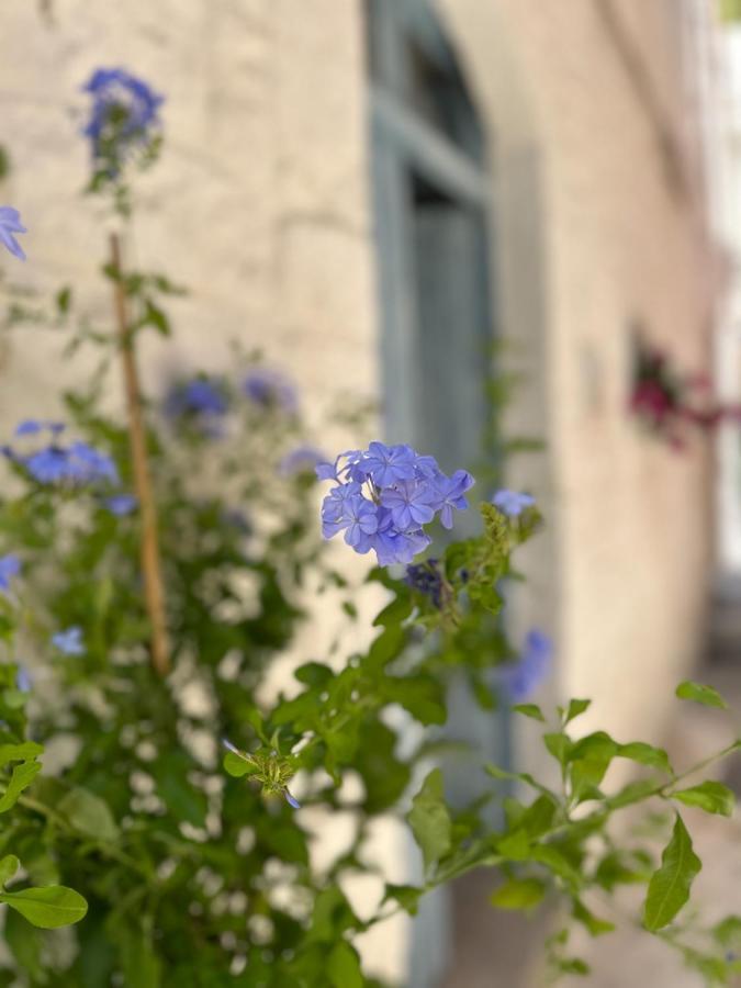 Bianco Calce - Ostuni Villa Kültér fotó